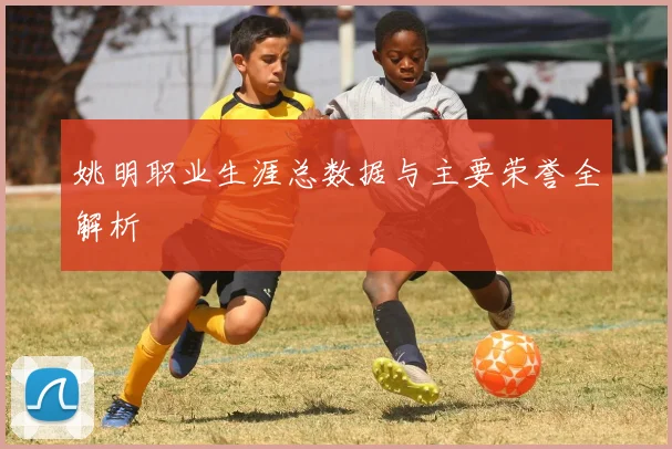 姚明职业生涯总数据与主要荣誉全解析